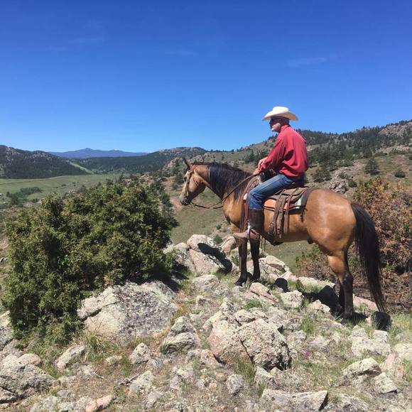 Meet your Posher, Brian - Picture 1 of 1